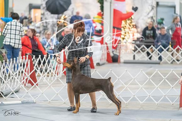 20231209-DSC09062