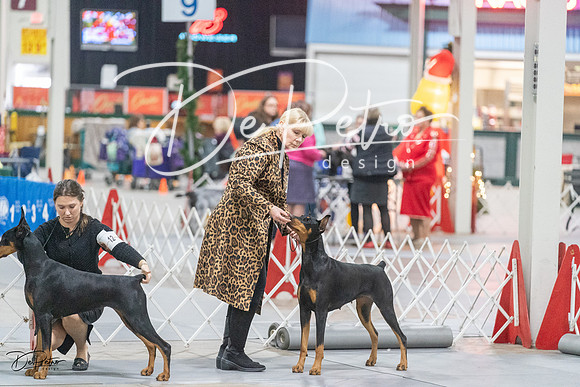 20231209-DSC09080