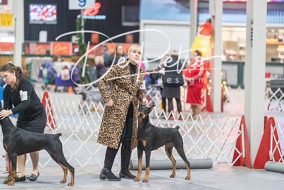 20231209-DSC09084