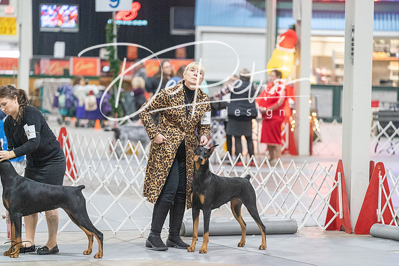 20231209-DSC09089