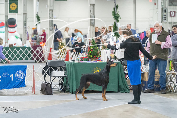 20231209-DSC09110