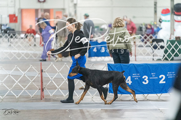 20231209-DSC09124