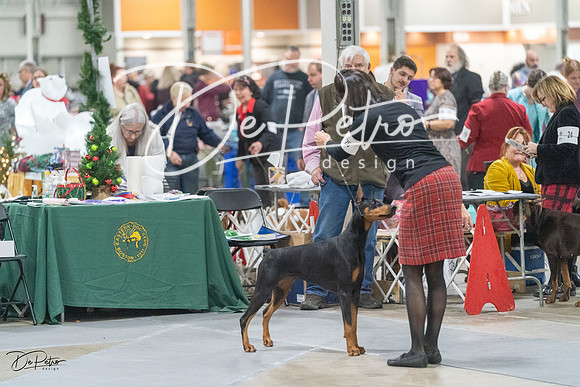 20231209-DSC09131