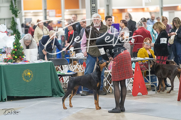 20231209-DSC09134