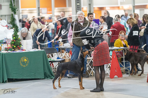 20231209-DSC09136