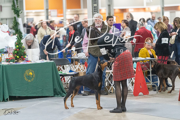 20231209-DSC09137