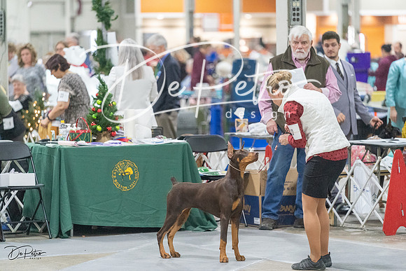 20231209-DSC09158