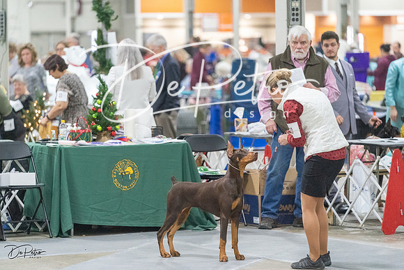 20231209-DSC09159
