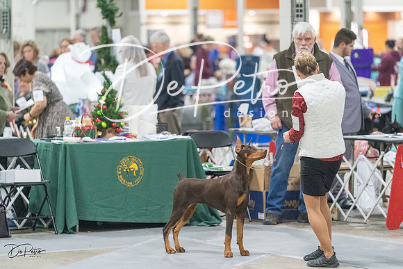 20231209-DSC09162