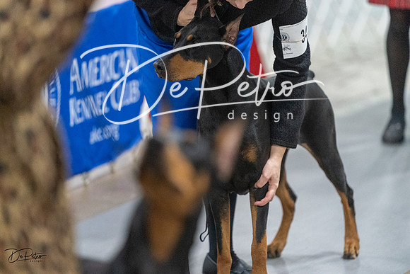 20231209-DSC09181