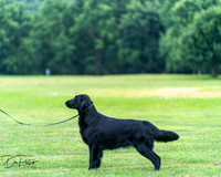 20250627-DSC06836