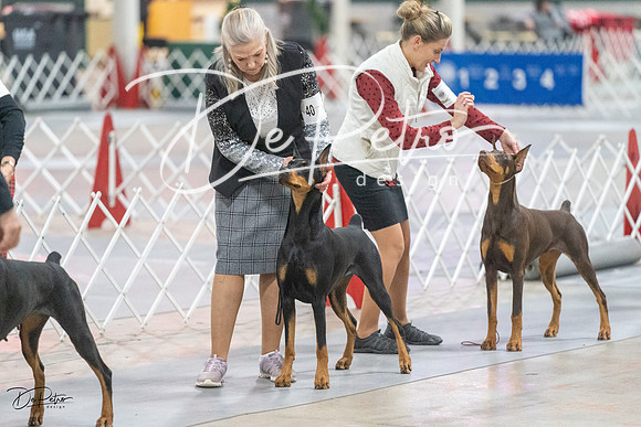 20231209-DSC09217