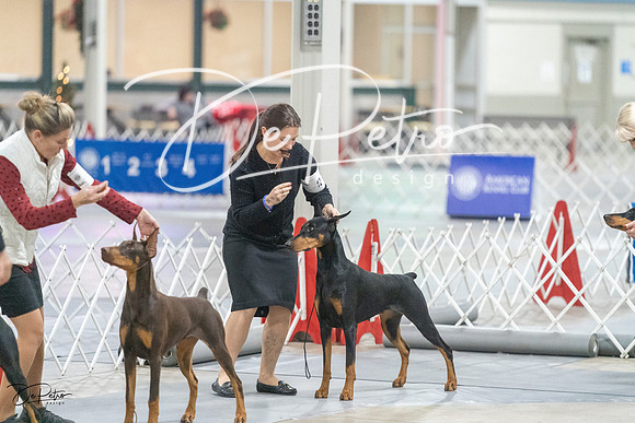 20231209-DSC09226