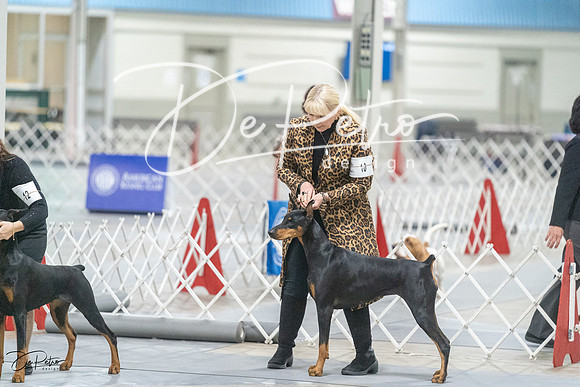 20231209-DSC09231