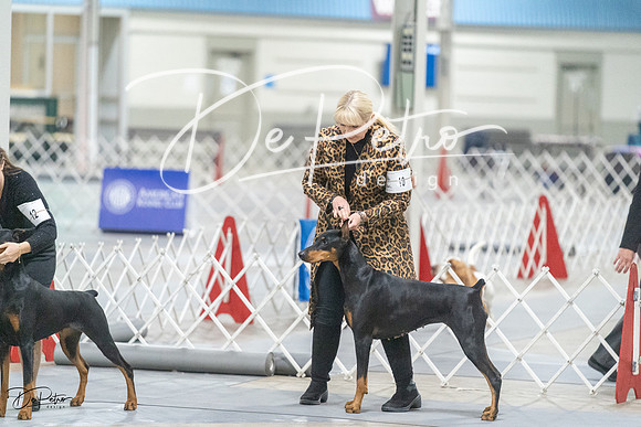 20231209-DSC09232