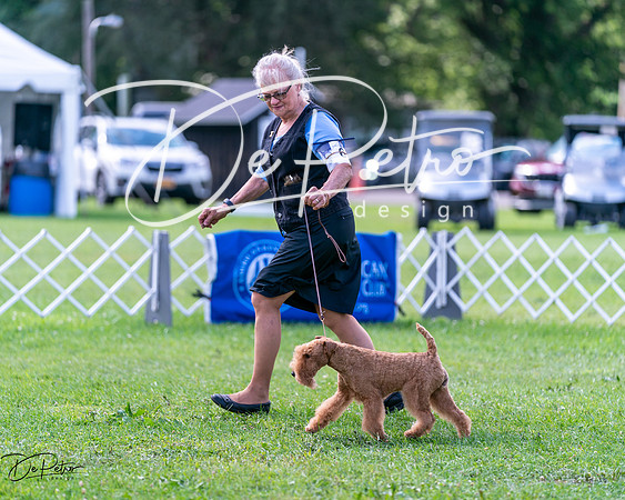 20240630-DSC03602