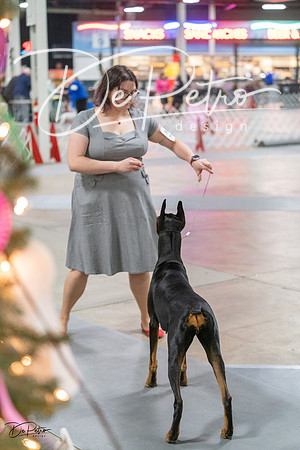 20231209-DSC08592