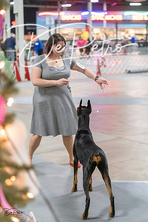 20231209-DSC08593