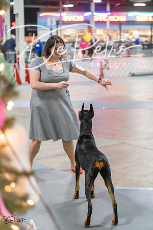 20231209-DSC08594