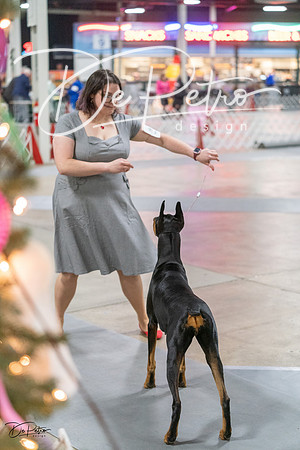 20231209-DSC08595