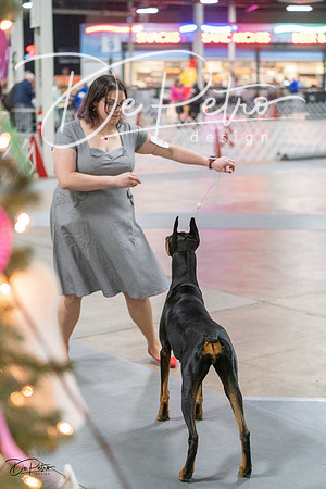 20231209-DSC08596
