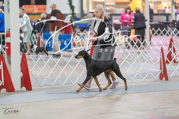 20231209-DSC08608