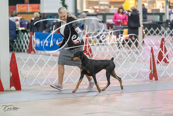 20231209-DSC08633