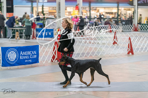 20231209-DSC08721