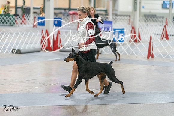 20231209-DSC08736