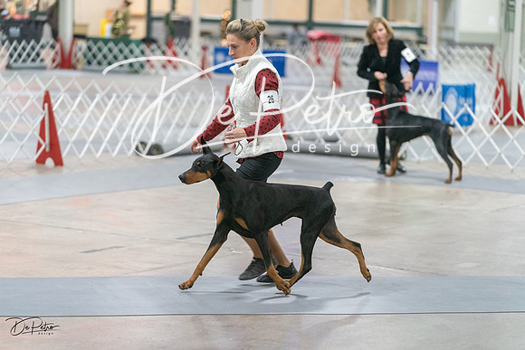 20231209-DSC08740