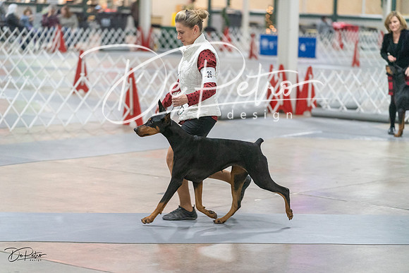20231209-DSC08745