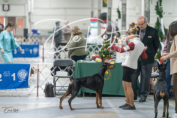 20231209-DSC08748