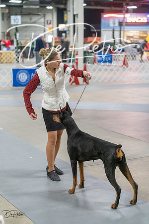 20231209-DSC08857