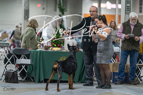 20231209-DSC07843