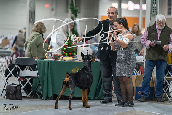 20231209-DSC07844