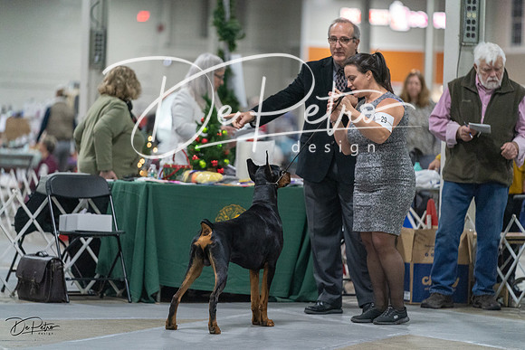20231209-DSC07845