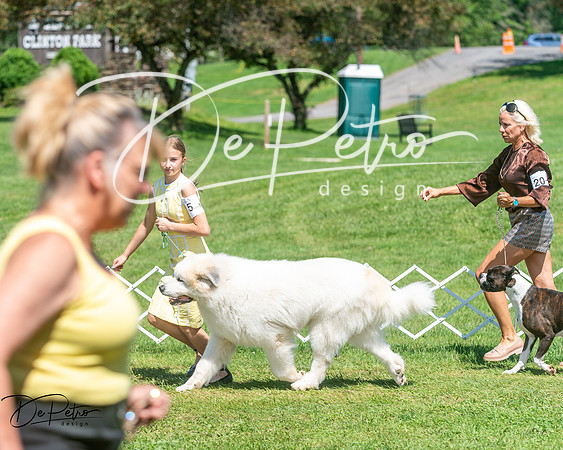 20250629-DSC09898