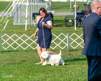 20240913-DSC00118