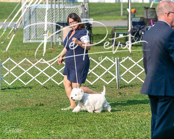 20240913-DSC00118