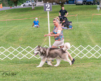 20250628-DSC08078