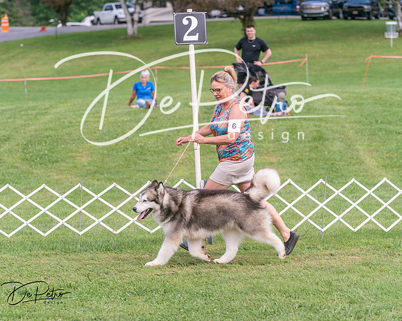 20250628-DSC08078