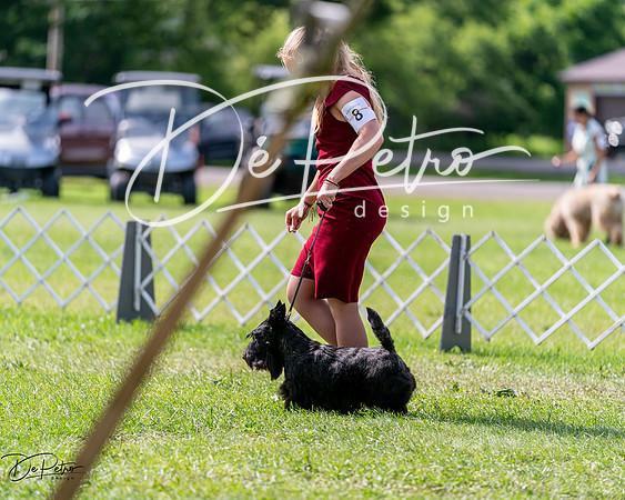 20240630-DSC03641