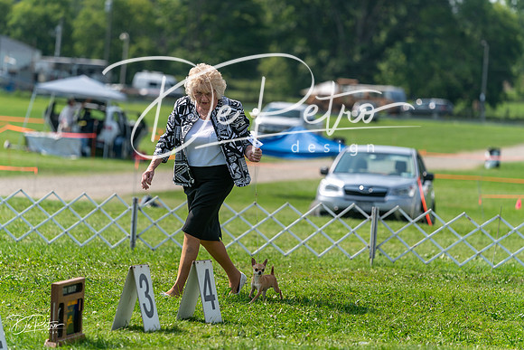 20240816-DSC00362