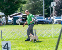 20240630-DSC02488
