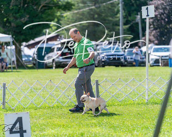 20240630-DSC02488