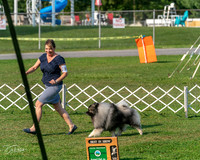 20240913-DSC00088