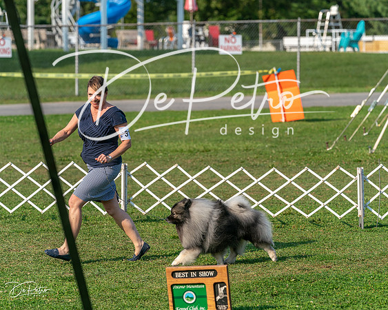 20240913-DSC00088