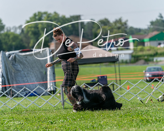 20240816-DSC00849