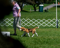 20250629-DSC09517
