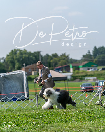 20240816-DSC00545